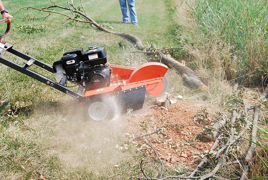 Stump grinder grinding a stump below grade in Clovis